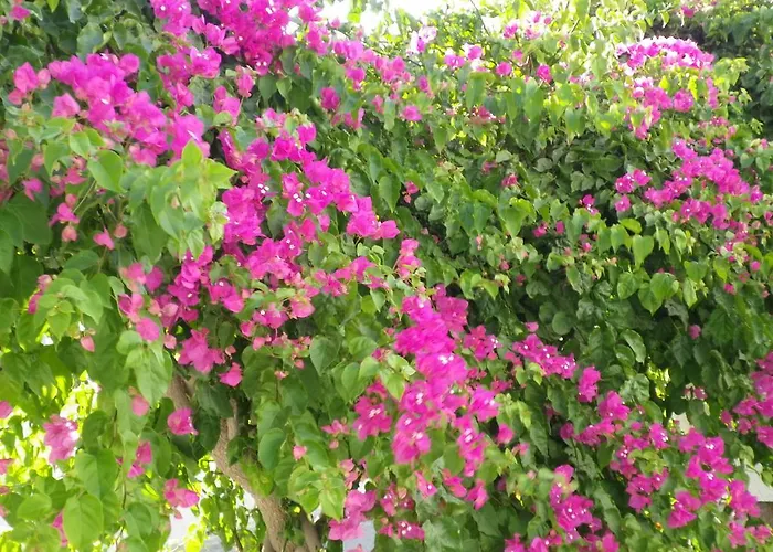 招待所 金乔治宾馆